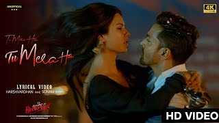 Tere Dil Pe Haq Mera Hai Lyrics